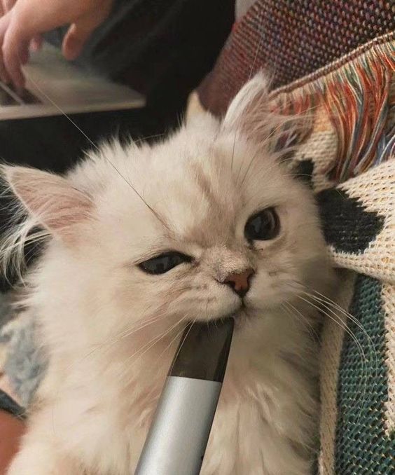How to Clean Your Vape Device for Optimal Performance