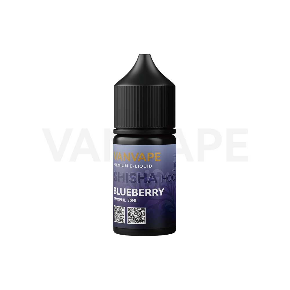 VANVAPE Blueberry Nicotine Salt E-liquid